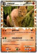 chatonet