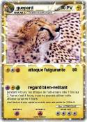 guepard