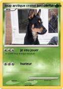 loup arctique