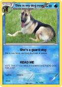 This is my dog