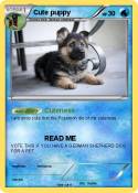 Cute puppy
