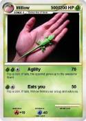 Willow 5000