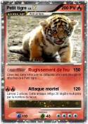 Petit tigre