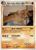 Sam mon chien
