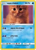aqua chaton