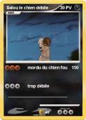 Salou le chien