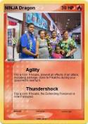 NINJA Dragon