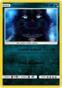 moon cat