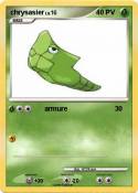 chrysasier
