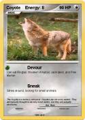 Coyote Energy:
