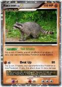 Raccoon