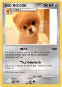 BOO THE DOG