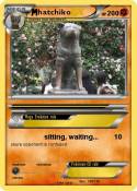 hatchiko