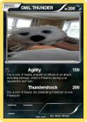 OWL THUNDER