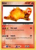 ferret