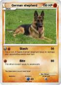 German shepherd