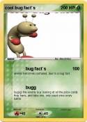 cool bug fact`s