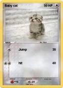 Baby cat