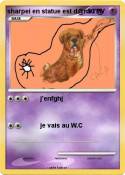 sharpei en stat