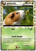 guinea pig