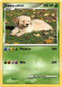 Puppy