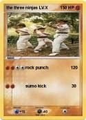 the three ninja