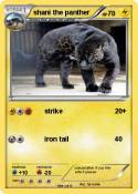 shani the panth