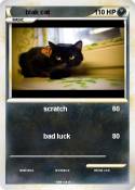 blak cat