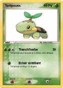 Tortipouss
