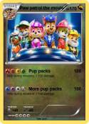 Paw patrol the