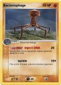 Bacteriophage