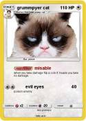 grummpyer cat