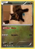 Kitty