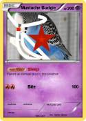 Mustache Budgie