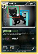 dark cat