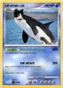 cat whale