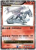 Soul Dragon