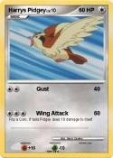 Harrys Pidgey