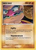 wario land