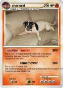 charzard