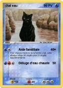chat eau