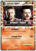 extreme fighter