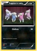 Puppies in