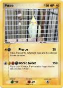 Patoo