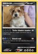 SNEEKER