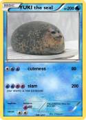 YUKI the seal
