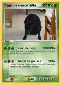 flagados espece
