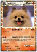 DOG!!!!!!!!!