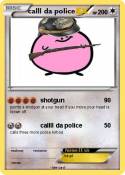 calll da police