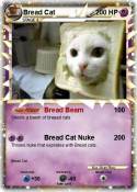 Bread Cat